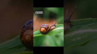 2023 snail and 5000 bce snail || mythical biology || #viral #mythology #shorts