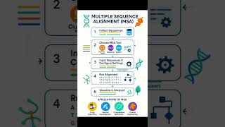 Multiple sequence alignment#bioinformatics