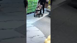 Two babies in single stroller #babies #stroller #fun #foryou #viral #shorts