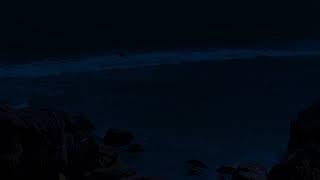 Moonlit Sea Rhythms – Soft Waves and Wind for Deep Sleep, Emotional Relief, and Inner Balance