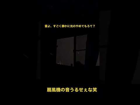 雷よ、静かに光るのやめてもろて？#short