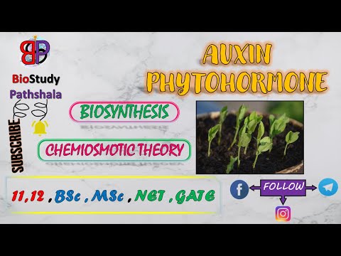 AUXIN PHYTOHORMONE