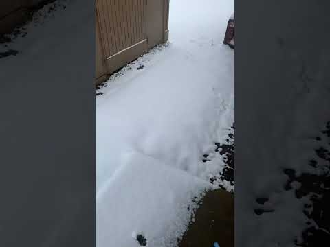 It’s finally snowing in Arkansas🫤