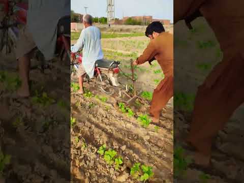 Advance Farming Agriculture Life Hacks Shorts