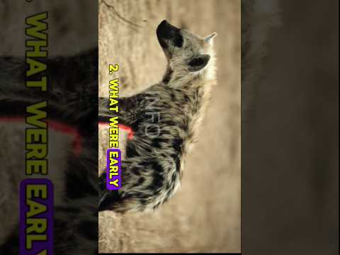 hyena #shorts #animals #knowledge