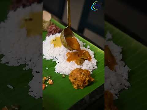 Chennai to Valparai Road Trip 🚌 | Tempo Traveller Journey with VDP Travels