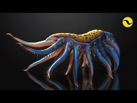 What Was Life Like During The Cambrian Period?