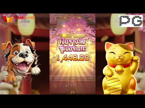 เว็บตรงไม่ผ่านเอเย่นต์!!