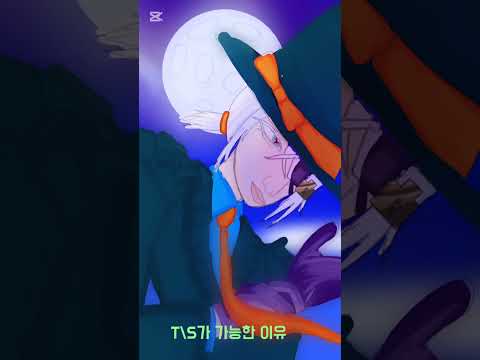 내자캐가 T\S가 가능한이유