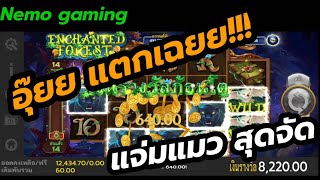 #slotxo #joker123 Enchanted Forest ใส่มันจัดดด #nemoslot#เครดิตฟรี