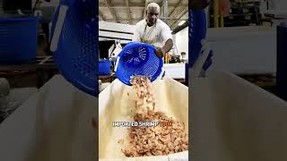 Where To Find Authentic Shrimp In Jacksonville
