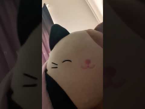 wen did squishmallows start  talkung..💀