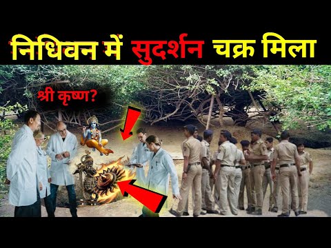 Vrindavan News | बहुचर्चित निधिवन का रहस्य क्या वहां सच में श्रीकृष्ण करते हैं रासलीला? #nidhivanb