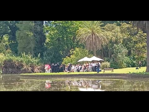 墨尔本皇家植物园漫步带您游 优美的湖畔，巧遇一对新人结婚，祝福他们