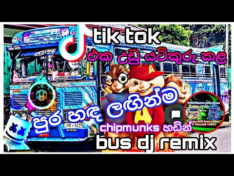 pura handa laginma (chipmunks song) bus dj remix 2021 new bus dj