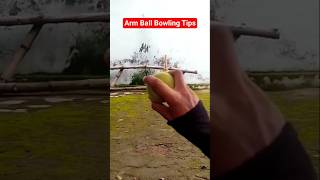 Arm Ball Bowling Tips #Cricket #ViralCricketShorts #TrendingCricketShorts #YTCricketShorts #Shorts