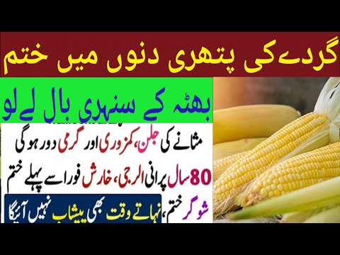 health tips urdu | Rumi Quotes | Best Urdu Quotes | Sunheri Haroof
