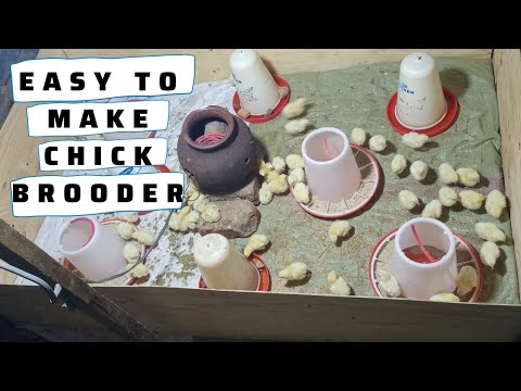 How to make a perfect brooder for chicks   #poultryfarming #brooder #chicks