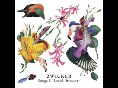 Zwicker - Wake Up (Ft. Olivera Stanimirov)