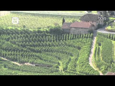 Schloss Hotel Korb ad Appiano sulla strada del vino.mp4