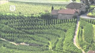 Schloss Hotel Korb ad Appiano sulla strada del vino.mp4