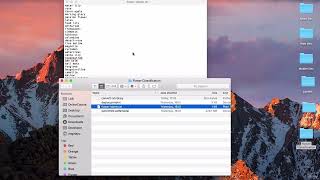 331 Converting a Caffe Model into MLModel