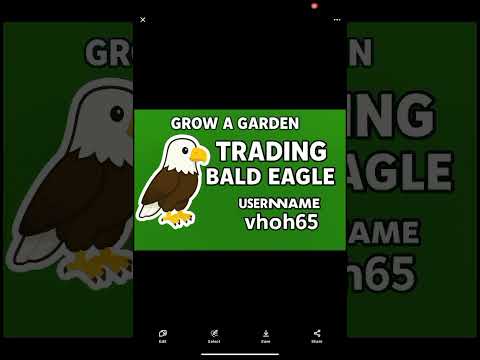 grow a garden trading bald eagle any offers