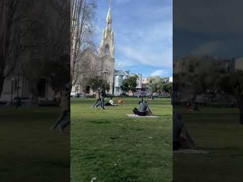 San Francisco Washington Square サンフランシスコ