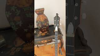 #banjoquotes 99 #banjo #banjomusic #5stringbanjo #shorts #4k