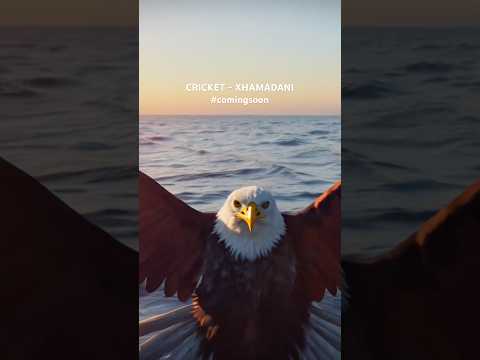 XHAMADANI coming soon