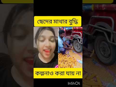 লক্ষীর মাথায় কত বুদ্ধি দেখেন #banglasong #duet #baulmusic #instagramstories #funny # #newsong