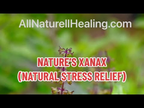 Nature’s Natural Xanax