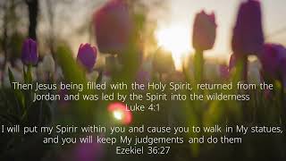 Day #10 Morning Devotion  Spirit Led Wilderness and Obedience Refined