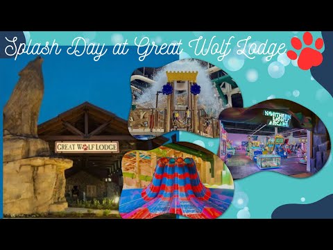 Splash Day at Great Wolf Lodge -Anaheim CA