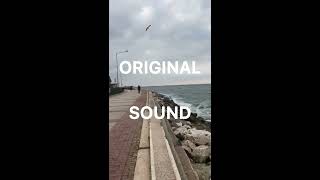 Calm Ocean Waves and Wind | Original Sound