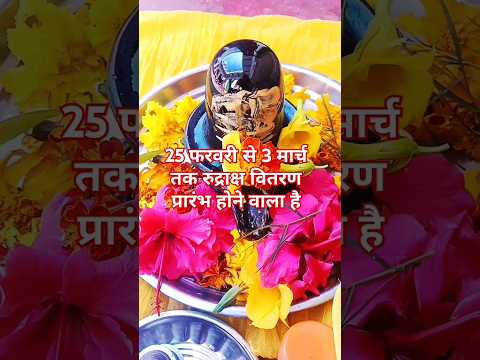 25 फरवरी से 3 मार्च तक रुद्राक्ष वितरण प्रारम्भ होने वाला है#shortvideo #panditpradeepmishrajikeupa