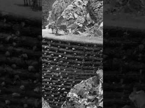 1800's BC Gold Rush ... Log Cribbing of Cariboo Wagon Road at China Bar Bluff in Fraser Canyon