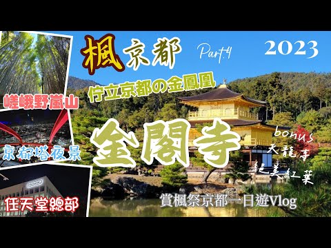 【2023楓京都第四日Vlog】日本賞楓祭與大晴天下金光普照的美金閣寺初次接觸...! 嵯峨野嵐山.嵐山小火車.京都任天堂總部.天龍寺.京都塔夜景.金閣寺