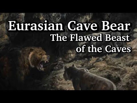 Eurasian Cave Bear: King of the Caverns