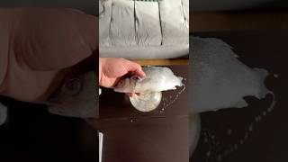 Now you don’t have to pay someone to look after your fish #shorts #lifehack
