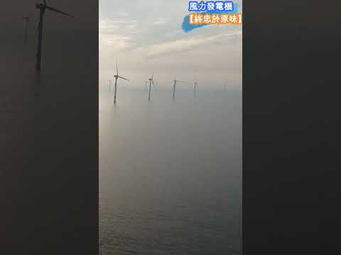 海上風力發電機