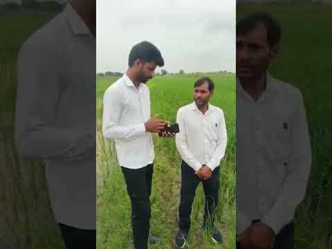 Shopnet company ke agro booster ka shandar result mil hai #WhatsApp _9896927329 #shopnet #adsei #mlm