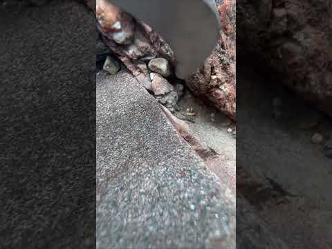 Yes that’s a gold nugget from Scotland🏴󠁧󠁢󠁳󠁣󠁴󠁿#gold #goldprospecting #goldnugget  #nature