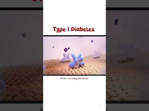 Type 1 Diabetes | #short