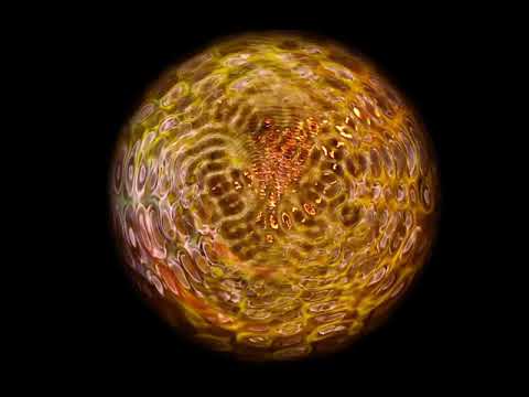Sacral Charka - Ancient Future - Binaural Beat Gamma - Heightened States - Embodied Ritual