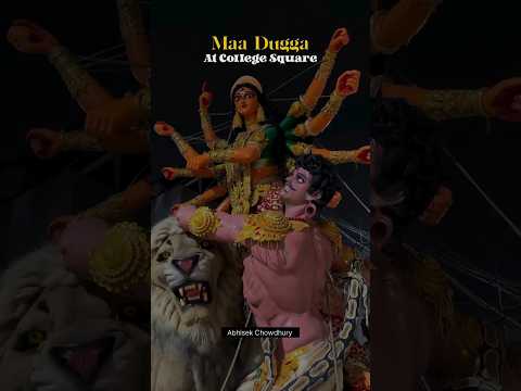 College Square Durga Puja 2024...#ytshortsindia #duragapuja #durgapuja2024 #viralvideo