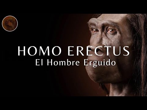Homo Erectus: 'El Hombre Erguido' | Documental de Humanos Prehistóricos