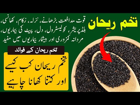 Tukhme Rehan Ke Fawaid | Tukhme Rehan Benefits In Urdu | Tukhm e Rehan Khane Ke Fayde