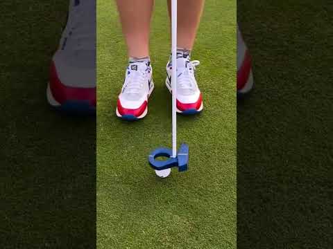 This is legal right?? #labputters #golf