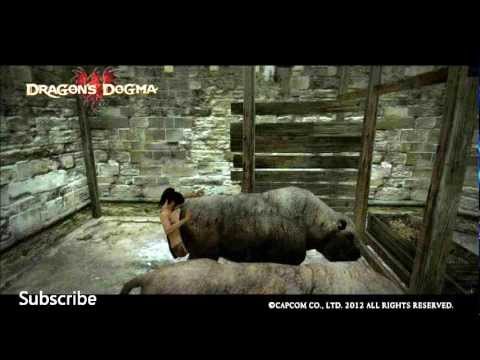 Dragons Dogma OST(18) Shaman of the Forest